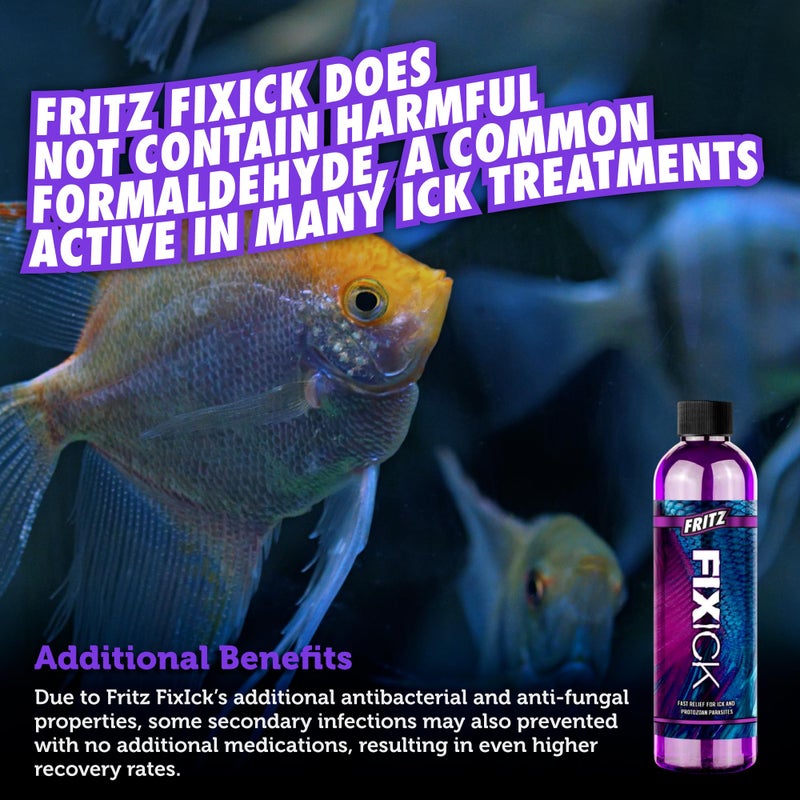 Fritz Aquatics FixIck Treatment for Fresh and Saltwater Fish (16 oz) - Image 4